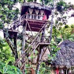 Eco Resort